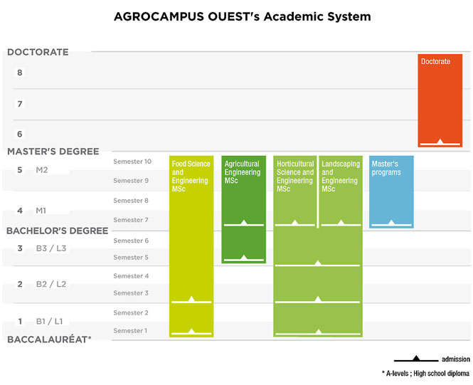découvrez l'équivalent des a levels au france, un guide complet pour comprendre les diplômes français comparables au système britannique.
