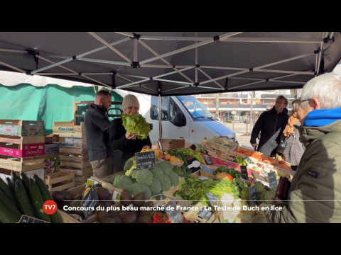 découvrez les meilleurs produits du marché de la teste, sélectionnés pour leur qualité et fraîcheur. trouvez fruits, légumes, spécialités locales et bien plus encore, parfaits pour vos repas.