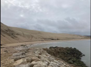 découvrez les meilleurs endroits pour marcher à la teste, entre nature et balades en bord de mer, pour des promenades paisibles et revitalisantes.