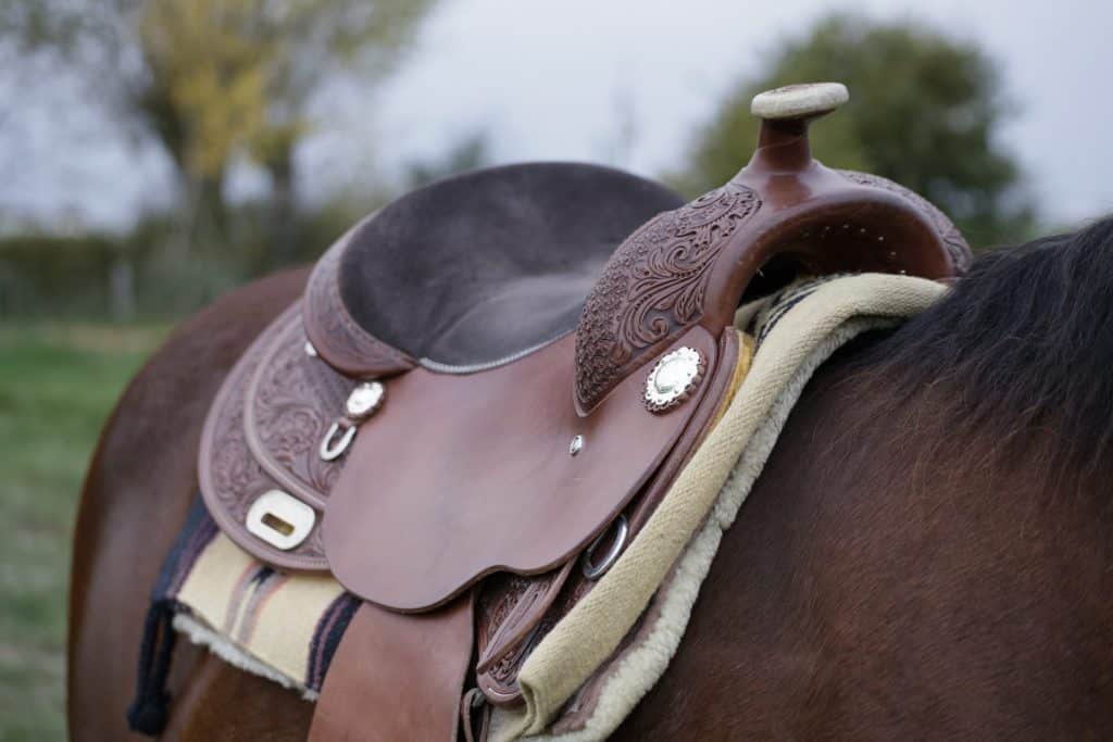 découvrez comment choisir la selle western idéale pour allier confort et performance lors de vos balades et compétitions équestres.