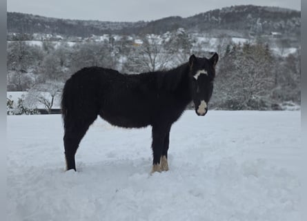 découvrez comment vendre votre cheval rapidement et efficacement grâce à nos conseils pratiques et astuces pour attirer les acheteurs et conclure une vente réussie.
