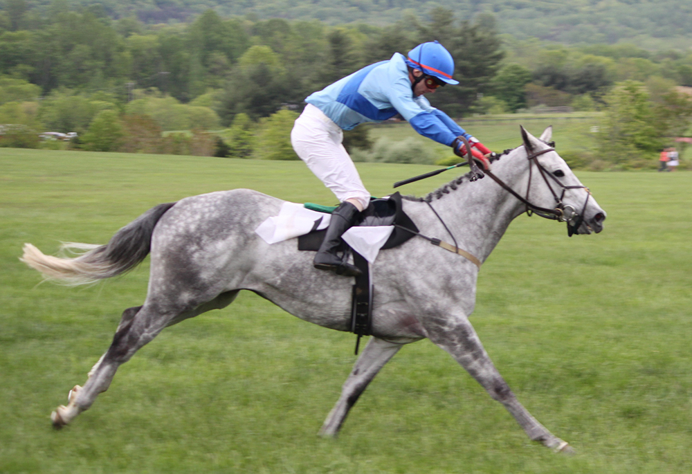 découvrez la vitesse maximale que peuvent atteindre les chevaux, leurs capacités physiques et les facteurs influençant leur rapidité.